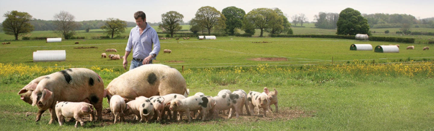 using fewer anitbiotics