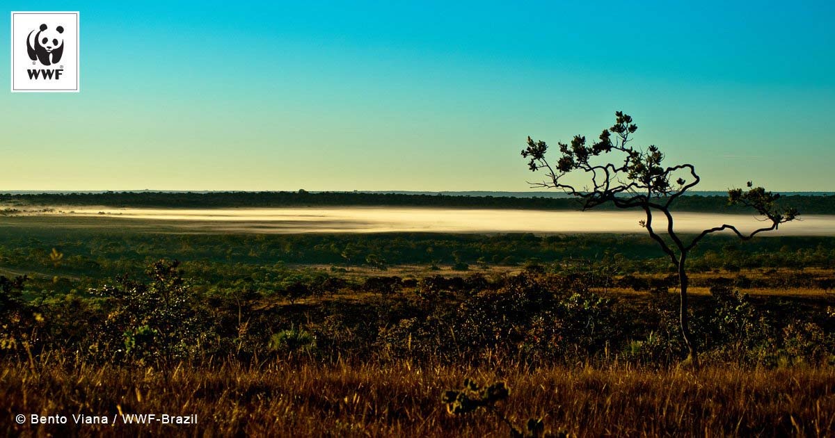 why we ve joined the call