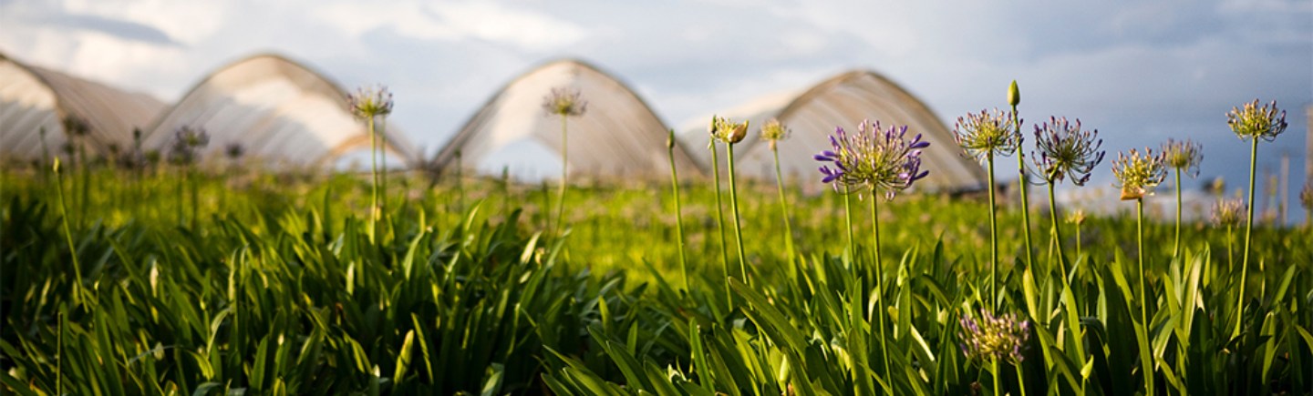 world water week our water