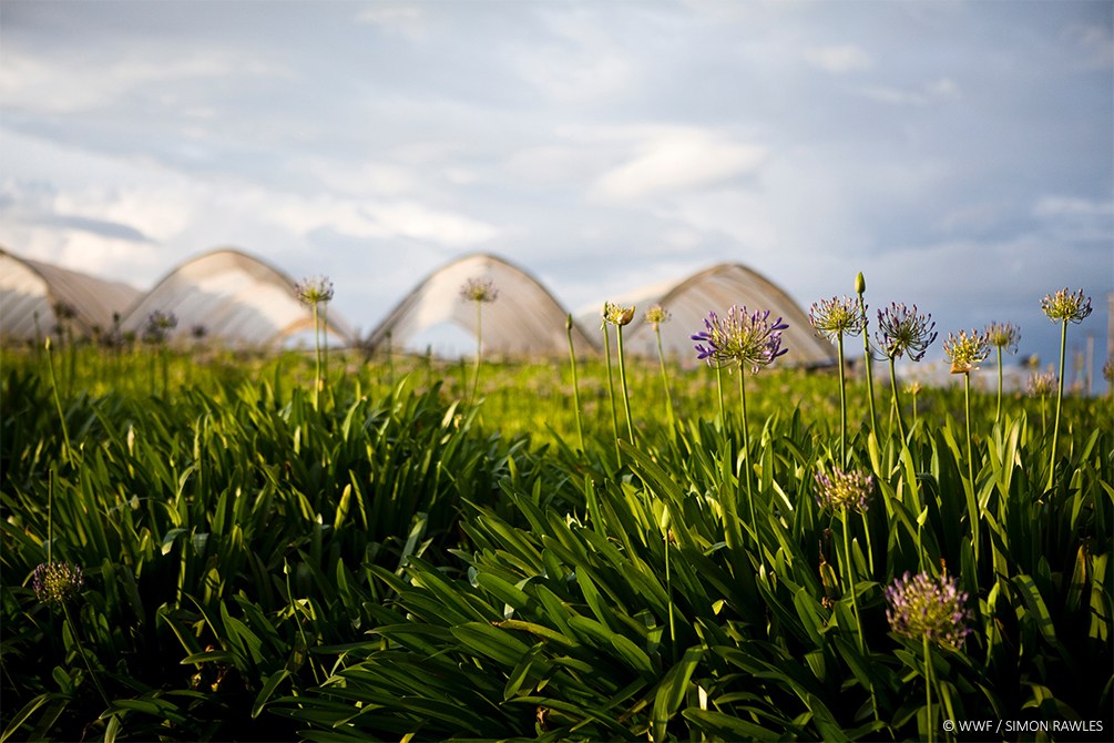 world water week our water