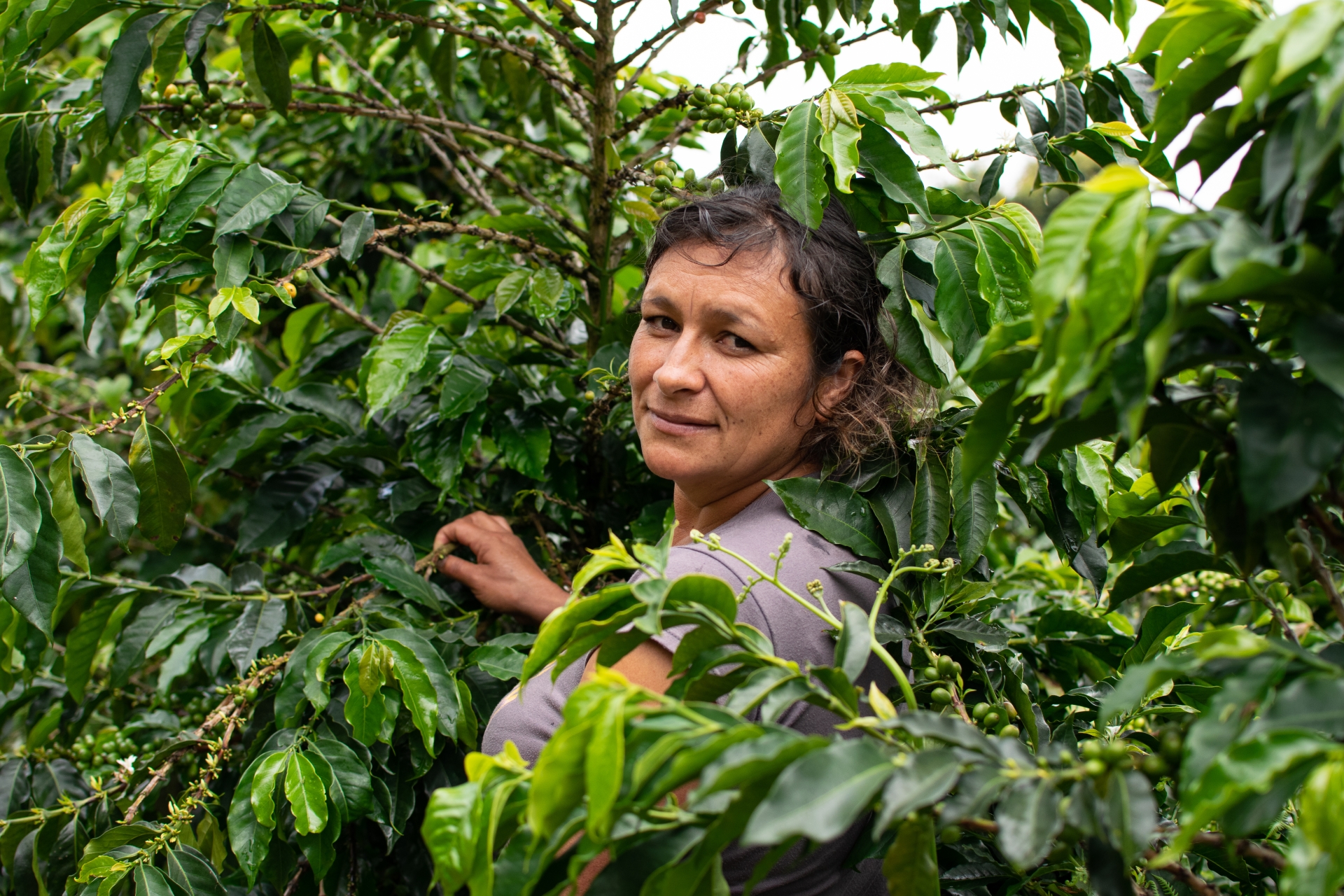 A person within leaves