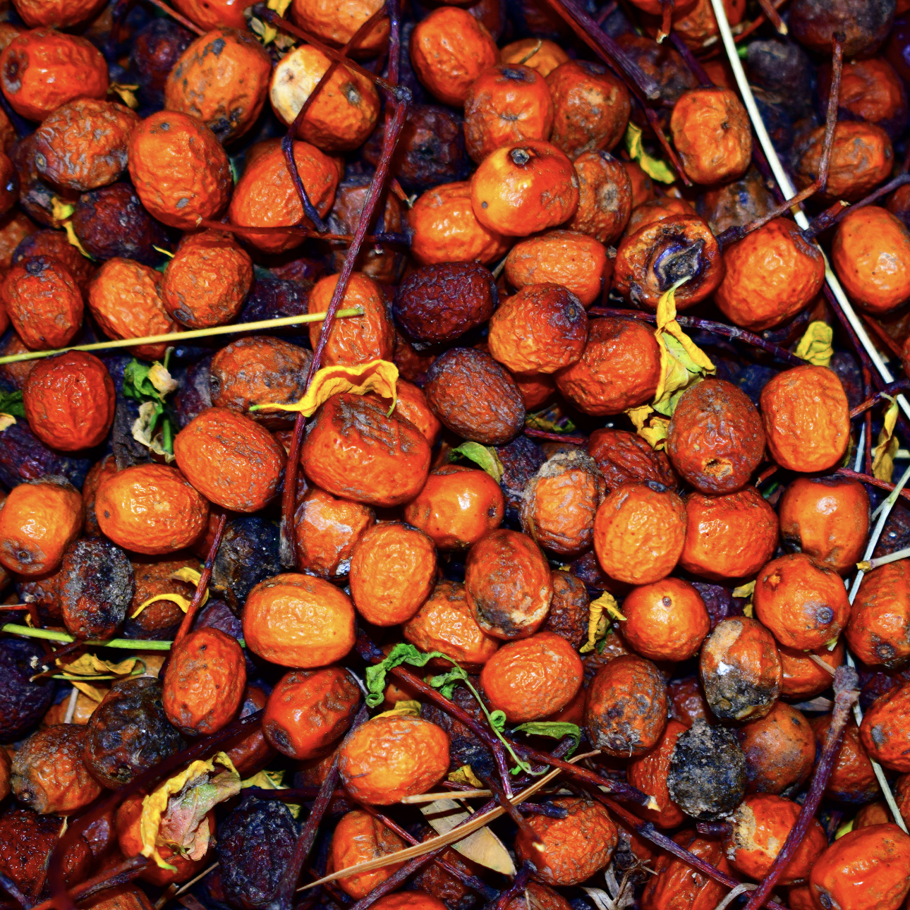 Palm oil