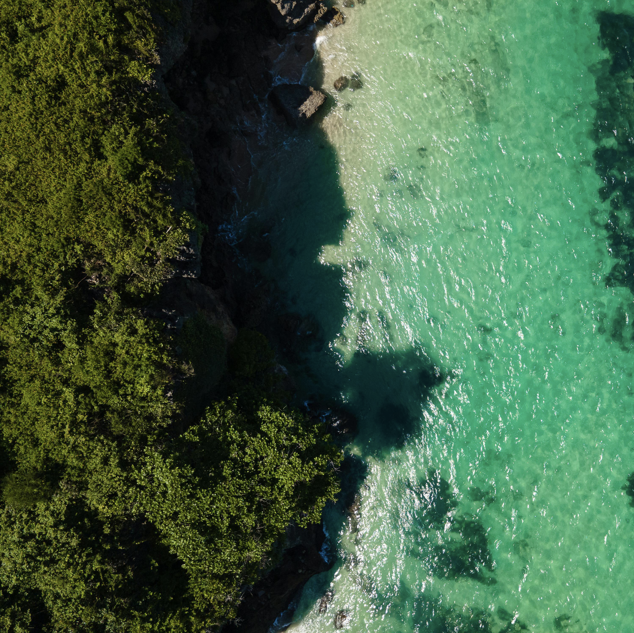 Water meeting land, from a Birds Eye view