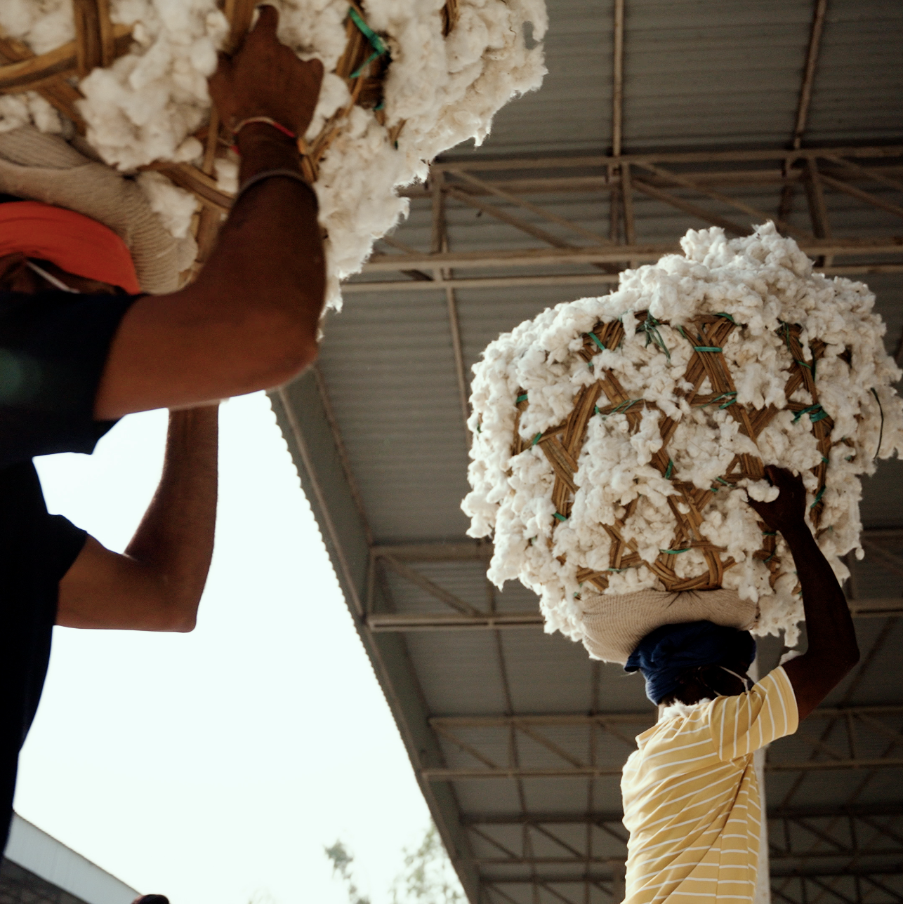 People carrying baskets of cotton