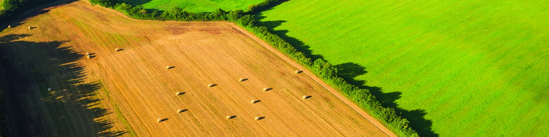 From field to fork our farming standards