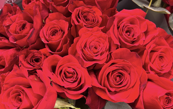 a bouquet of red roses